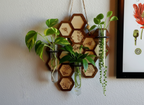 Honeycomb Propagation Station wall-mounted display